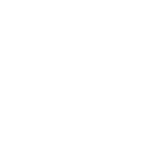 MSF Web Logo