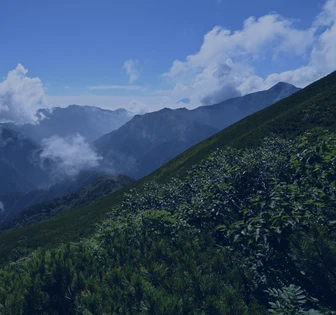 The image depicts a lush, mountainous landscape with rolling hills covered in dense vegetation and shrouded in clouds, creating a serene and atmospheric scene