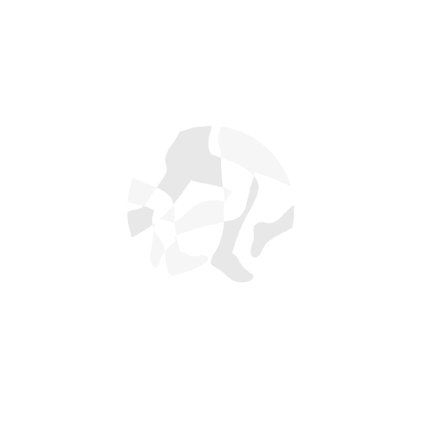 Runhk Web Logo