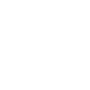 Minds Matter logo