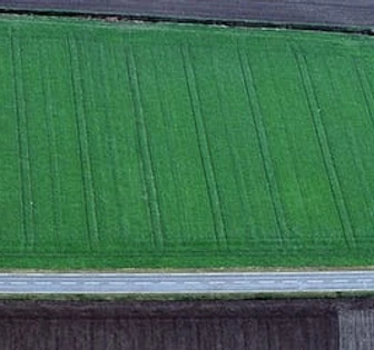 The image shows a vast, lush green agricultural field with a road running through the center. The field appears to be meticulously cultivated, suggesting it may be used for farming or agricultural purposes
